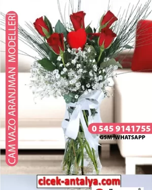 5 KIRMIZI GÜL ÜRÜN KODU CV35