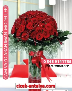 50 KIRMIZI GÜL CV02