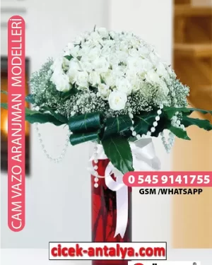 80 BEYAZ GÜL ÜRÜN KODU CV24