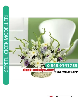 BAHARIN HABERCİSİ MEVSİM ÇİÇEKLERİ ÜRÜN KODU SPA2
