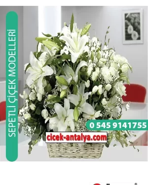 BEYAZ RÜYA ÜRÜN KODU SPA05