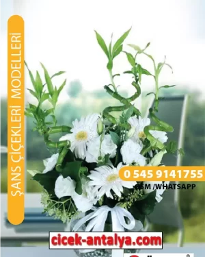 GERBERA VE ŞANS GETİREN BAMBULAR ÜRÜN KODU SC03