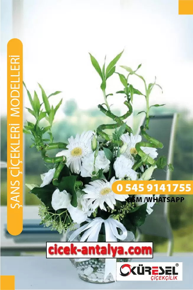 GERBERA VE ŞANS GETİREN BAMBULAR ÜRÜN KODU SC03 – Antalya Çiçekçi
