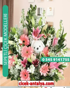 HOŞGELDİN BEBEK ARAJMANI ÜRÜN KODU SPA07