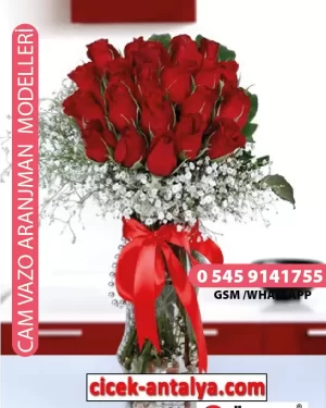 VAZODA 20 KIRMIZI GÜL ÜRÜN KODU CV08