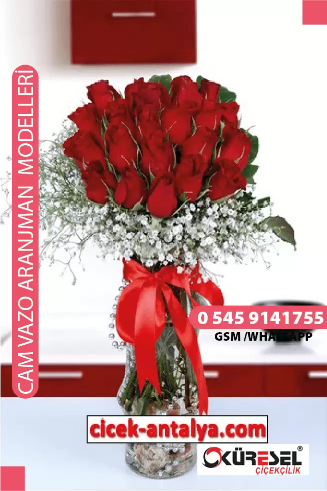 VAZODA 20 KIRMIZI GÜL ÜRÜN KODU CV08 – Antalya Çiçekçi
