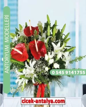 Antoryum Çiçekçi Modeli Ant02