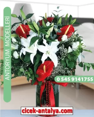 Antoryum Çiçekçi Modeli Ant03
