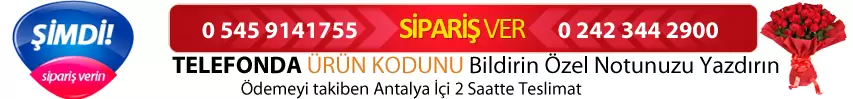 You are currently viewing Antalya Acil Çiçekçi