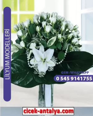 Lilyum Sipariş Modeli L06