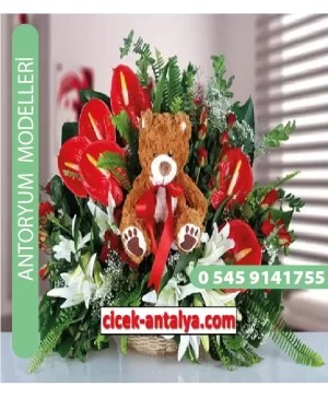 Antoryum Çiçekçi Modeli Ant04