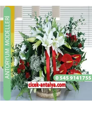 Antoryum Çiçek Modeli Antalya Ant01
