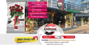 antalya çiçekçi